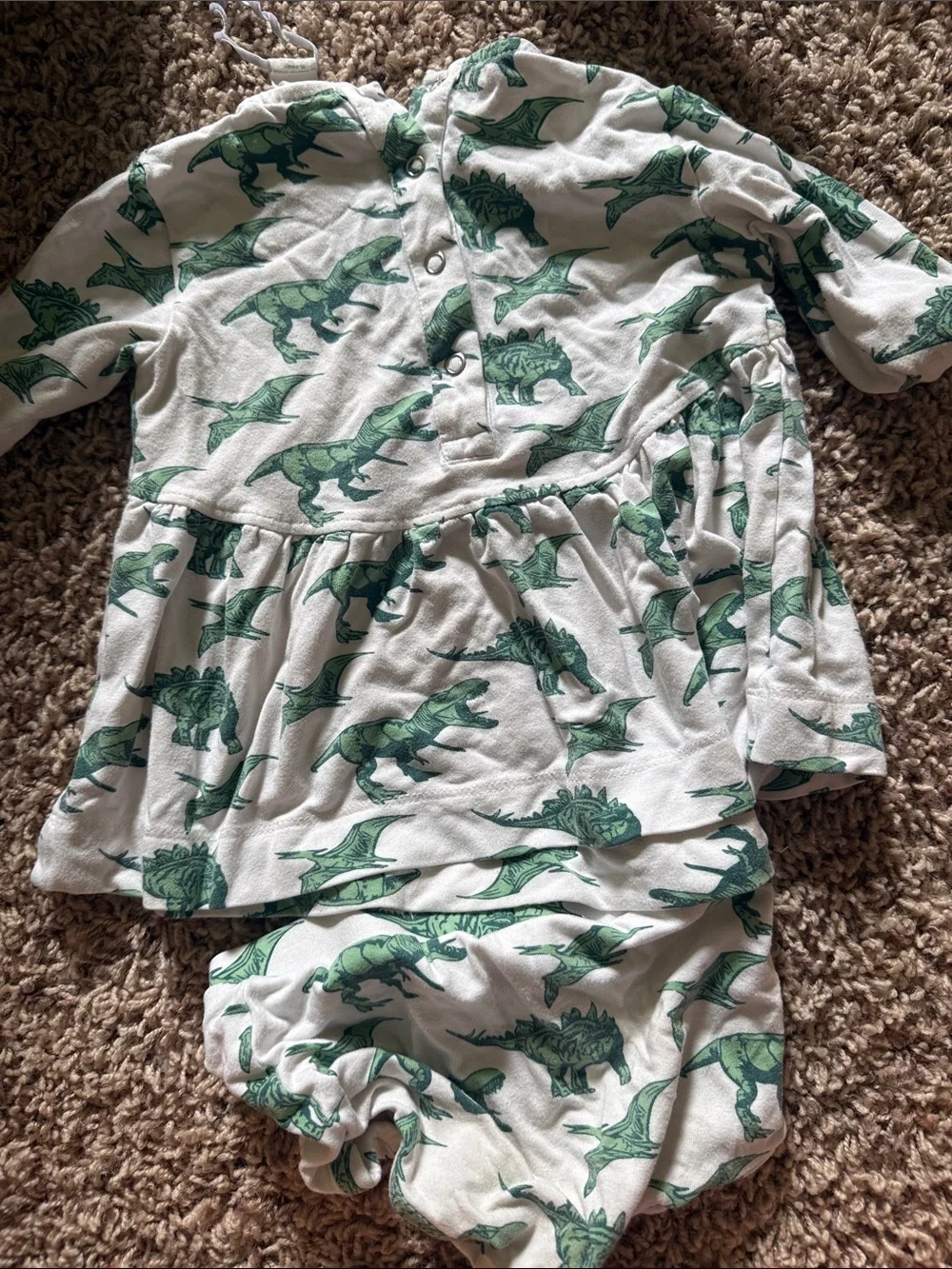 Kate Quinn Dinosaur Print Dress and Bloomers